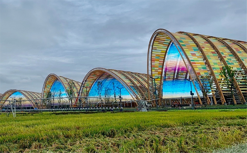 1xBET·Signup(中国区)-官方网站